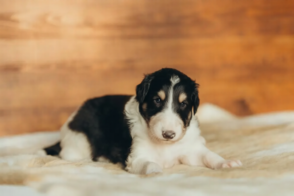 d2rgr5sqhxrmr0cx6z1a4cdgpm